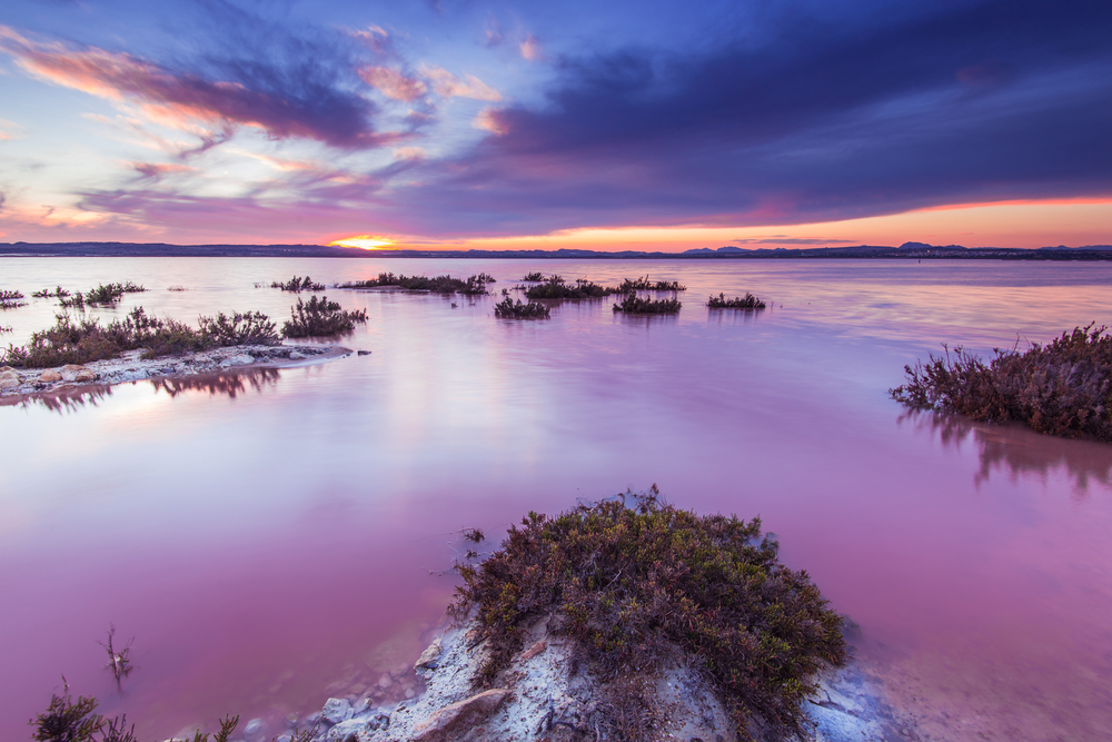 het roze meer